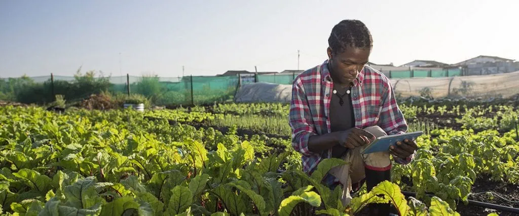 Hello Future Servicesagricolesafrique 1198x500 1